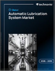 Global Automatic Lubrication System Market 2026-2030