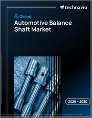 Global Automotive Balance Shaft Market 2026-2030