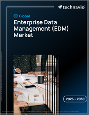 Global Enterprise Data Management (EDM) Market 2026-2030