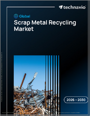 Global Scrap Metal Recycling Market 2026-2030