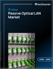 Global Passive Optical LAN Market 2026-2030