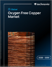 Global Oxygen Free Copper Market 2026-2030