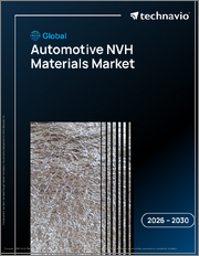 Global Automotive NVH Materials Market 2026-2030