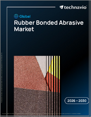 Global Rubber Bonded Abrasive Market 2026-2030