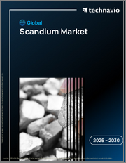 Global Scandium Market 2026-2030
