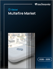 Global Multefire Market 2026-2030