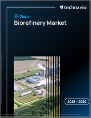 Global Biorefinery Market 2026-2030