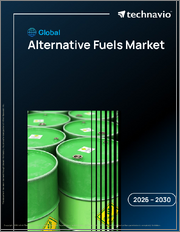 Global Alternative Fuels Market 2026-2030