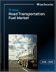 Global Road Transportation Fuel Market 2026-2030