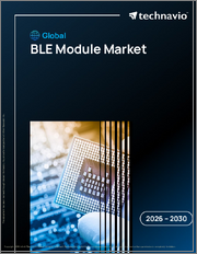 Global BLE Module Market 2026-2030