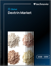 Global Dextrin Market 2026-2030