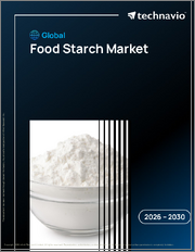Global Food Starch Market 2026-2030