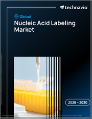 Global Nucleic Acid Labeling Market 2026-2030