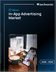Global In-App Advertising Market 2026-2030