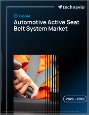 Global Automotive Active Seat Belt System Market 2026-2030