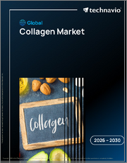 Global Collagen Market 2026-2030