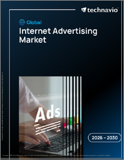Global Internet Advertising Market 2026-2030