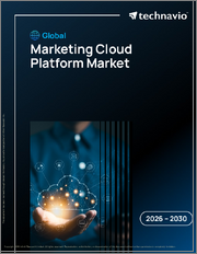 Global Marketing Cloud Platform Market 2026-2030