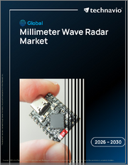 Global Millimeter Wave Radar Market 2026-2030