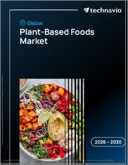 Global Plant-Based Foods Market 2026-2030