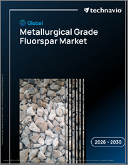 Global Metallurgical Grade Fluorspar Market 2026-2030
