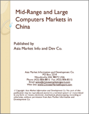 Mid-Range and Large Computers Markets in China