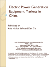 Electric Power Generation Equipment Markets in China