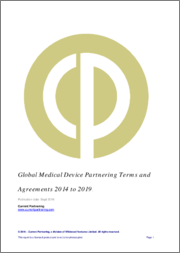 Global Medical Device Partnering Terms and Agreements 2016-2023