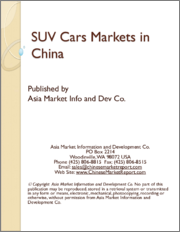 SUV Cars Markets in China