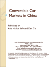 Convertible Car Markets in China