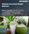 Coconut Water Market Size, Share, and Growth Analysis, By Type (Sweetened, Unsweetened), By Flavour (Plain, Flavoured), By Form, By Packaging, By Distribution Channel, By Region - Industry Forecast 2026-2033