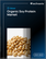 Global Organic Soy Protein Market 2025-2029