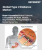 Type 2 Diabetes Market Size, Share, and Growth Analysis, By Drug Class (Insulin, DPP-4 Inhibitors), By Route of Administration (Oral, Subcutaneous), By Demographics, By Distribution Channel, By Region - Industry Forecast 2026-2033