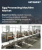 Egg Processing Machine Market Size, Share, and Growth Analysis, By Product Type, By Operation Type, By Application, By End User, By Capacity, By Distribution Channel, By Region - Industry Forecast 2026-2033