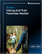 Global Hiking And Trail Footwear Market 2026-2030