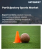 Participatory Sports Market Size, Share, and Growth Analysis, By Sport Type (Team Sports, Individual Sports), By Participation Type (Recreational, Amateur Competitive), By Age Group, By Venue, By End User, By Region - Industry Forecast 2026-2033