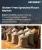 Gluten-Free Sprouted Flours Market Size, Share, and Growth Analysis, By Source (Rice, Quinoa), By Product Type (Single-Grain Flour, Multi-Grain Flour), By Application, By End User, By Distribution Channel, By Region - Industry Forecast 2026-2033