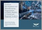 Contract Development and Manufacturing Organization (CDMO) Market - A Global and Regional Analysis: Focus on Service, Product Type, Application, End User, and Region - Analysis and Forecast, 2026-2036