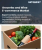 Groceries and Wine E-commerce Market Size, Share, and Growth Analysis, By Product Type (Groceries, Wine), By Platform Type (Pure-Play E-commerce, Omnichannel Retailers), By Delivery Model, By End User, By Region - Industry Forecast 2026-2033