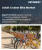 Adult Cruiser Bike Market Size, Share, and Growth Analysis, By Product Type, By Frame Material, By Wheel Size, By Distribution Channel, By End User, By Price Range, By Region - Industry Forecast 2026-2033