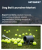 Dog Ball Launcher Market Size, Share, and Growth Analysis, By Product Type, By Power Source, By Dog Size, By Distribution Channel, By End User, By Region - Industry Forecast 2026-2033