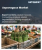 Asparagus Market Size, Share, and Growth Analysis, By Product Type (Fresh Asparagus, Frozen Asparagus), By Variety (Green Asparagus, White Asparagus), By Cultivation, By Distribution Channel, By End User, By Region - Industry Forecast 2026-2033