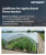 Additives for Agricultural Films Market Size, Share, and Growth Analysis, By Additive Type (UV Stabilizers, Antifogging Agents), By Film Type, By Function, By Application, By End-Use Crop, By Region - Industry Forecast 2026-2033