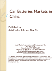 Car Batteries Markets in China