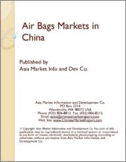 Air Bags Markets in China