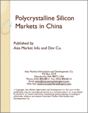 Polycrystalline Silicon Markets in China