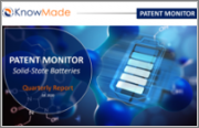 Solid-State Batteries - Patent Monitoring Service