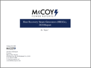 Heat Recovery Steam Generators (HRSGs)